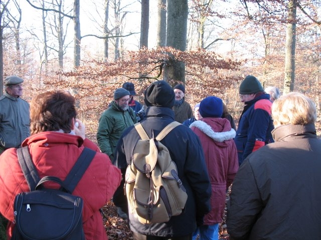 2007 11 Etangs de Hollande 21